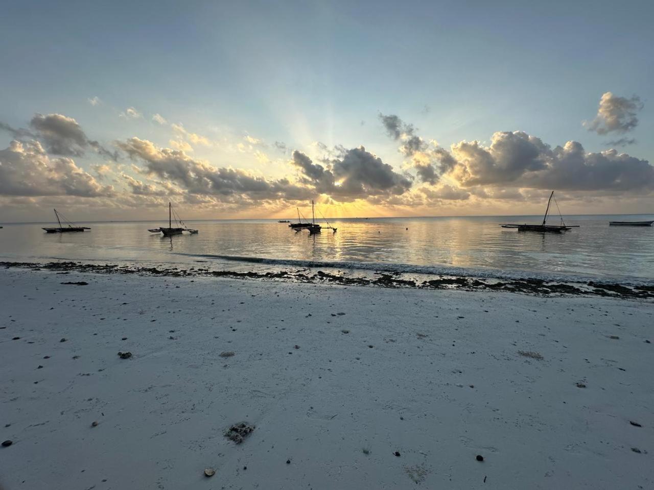 Villa Serenity, Tanzania Unforgettable Paje Exteriör bild